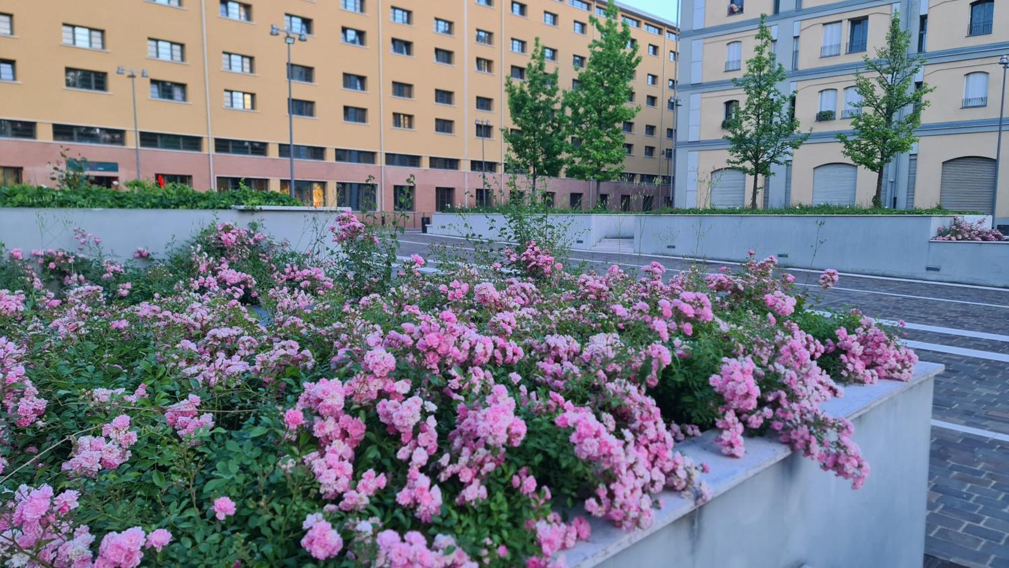 Milan Space Loft - Apartment Close To M5 Subway - Free Parking - Sky & Netflix Tv Экстерьер фото